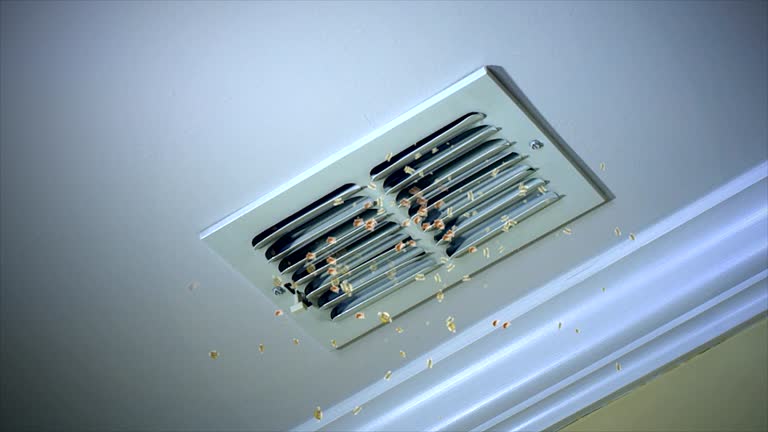Best Commercial Air Duct Cleaning  in East Bethel, MN